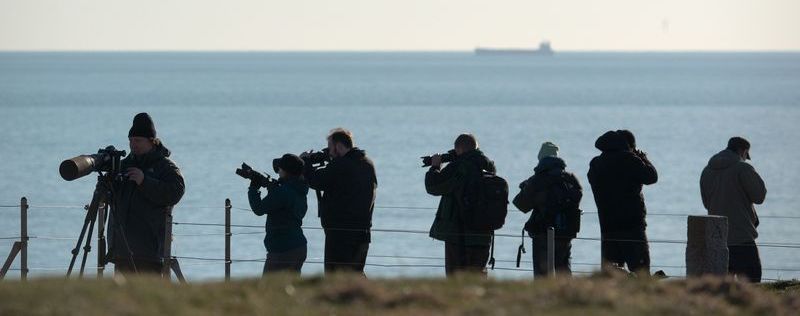 Observateurs d'oiseaux le long du fleuve